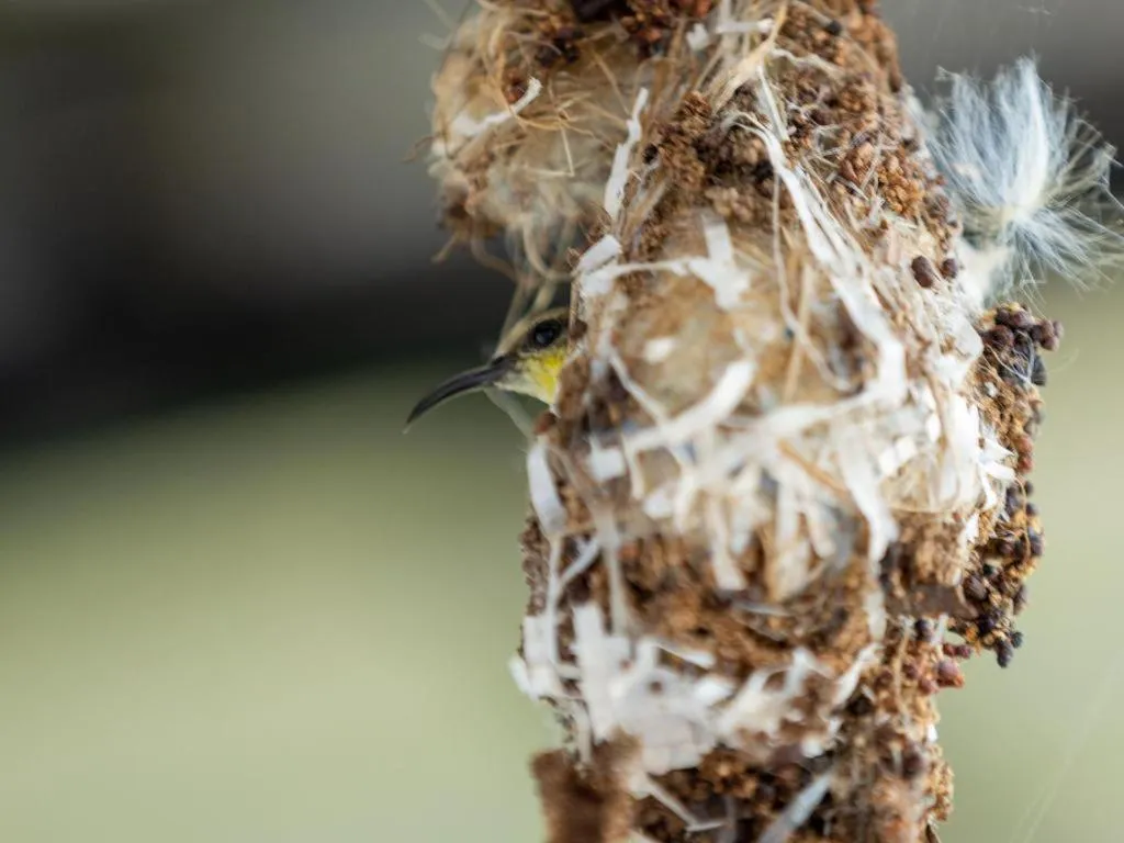 Chayada Garden House and Resort Hotel