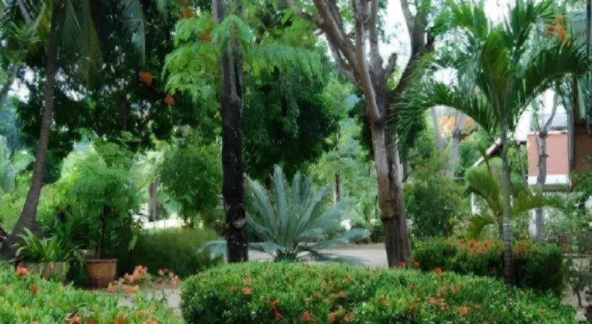 Rose Garden Samui Bungalows