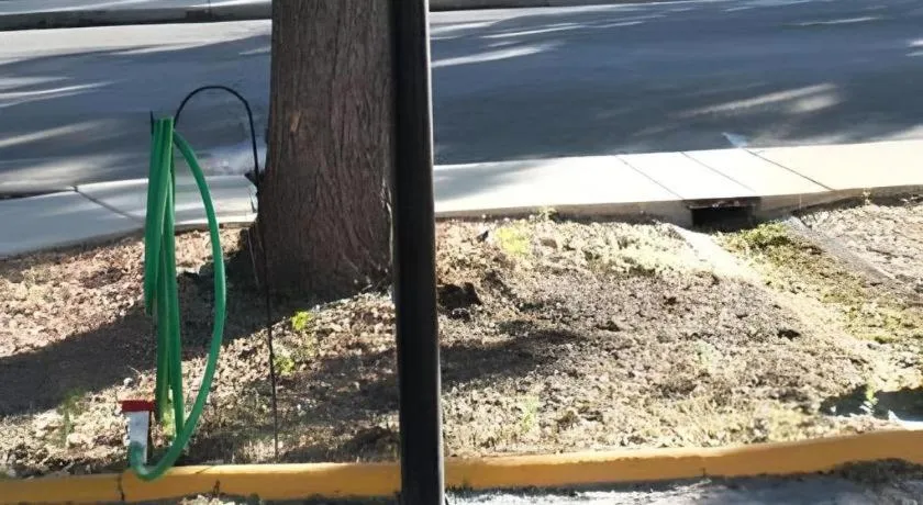 Baymont by Wyndham Grand Junction