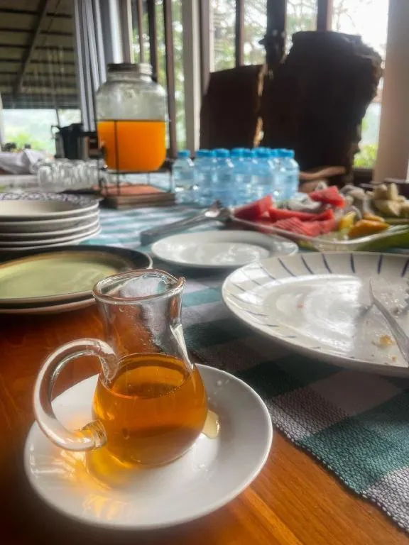 Nam Ou Riverside Resort