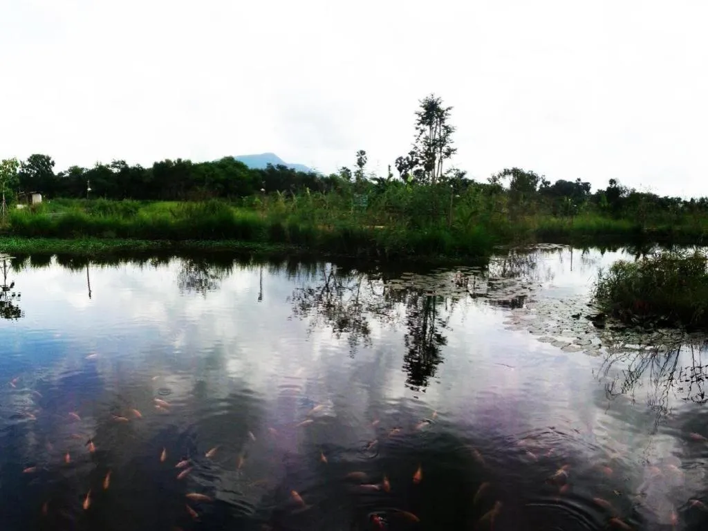 BanRai ChernMa Resort