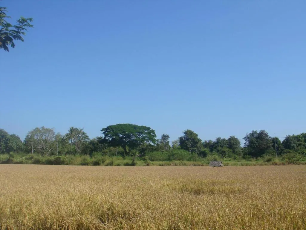 Indie House @ Maerim