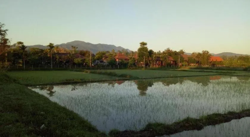 Indie House @ Maerim