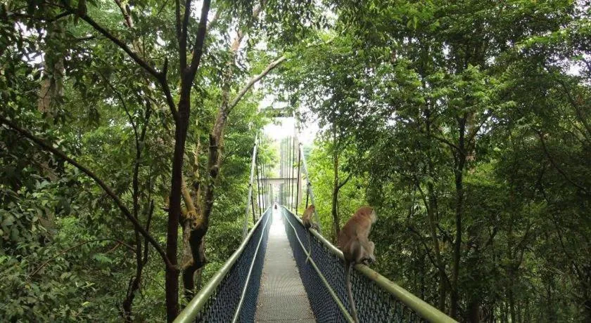 G4 Station Backpackers Hostel