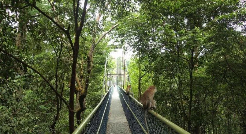 G4 Station Backpackers Hostel