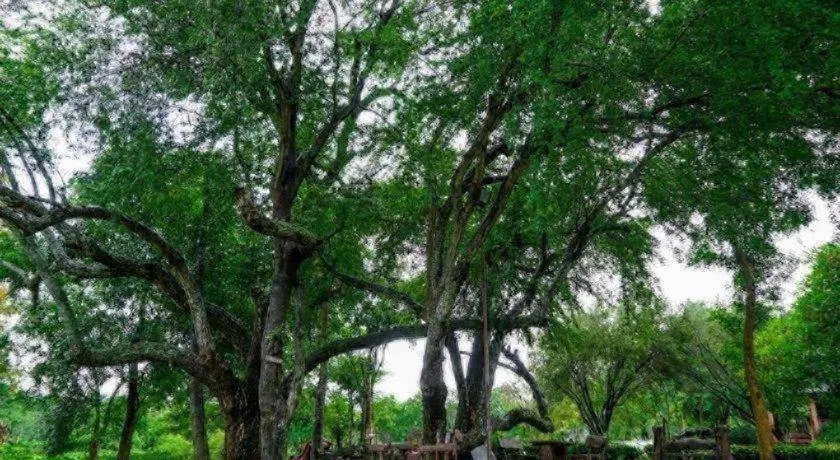 Valley Garden Resort