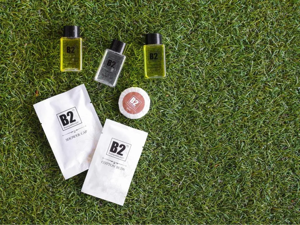 B2 Lanna Boutique & Budget Hotel