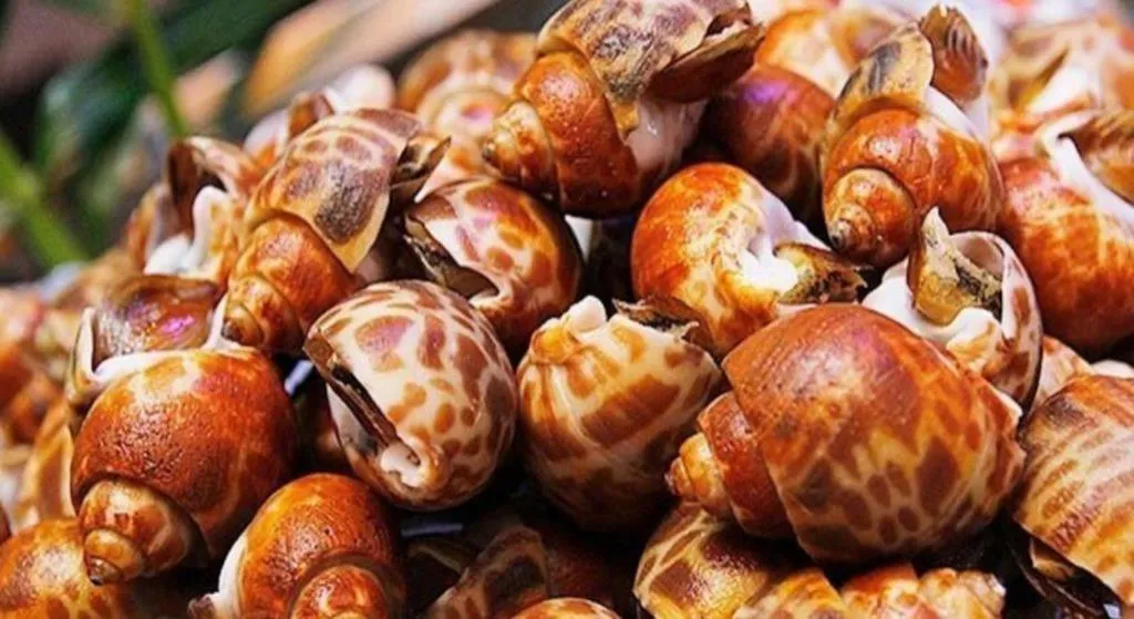 Eurasia International Hotel