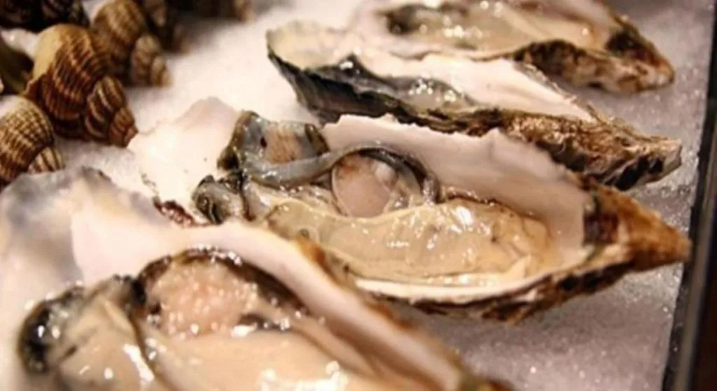 Eurasia International Hotel