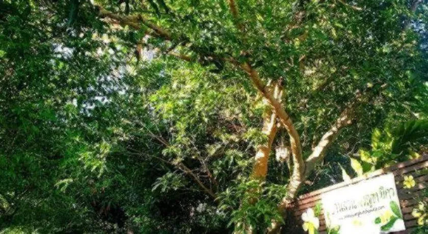 Baan Suan Phidchamika