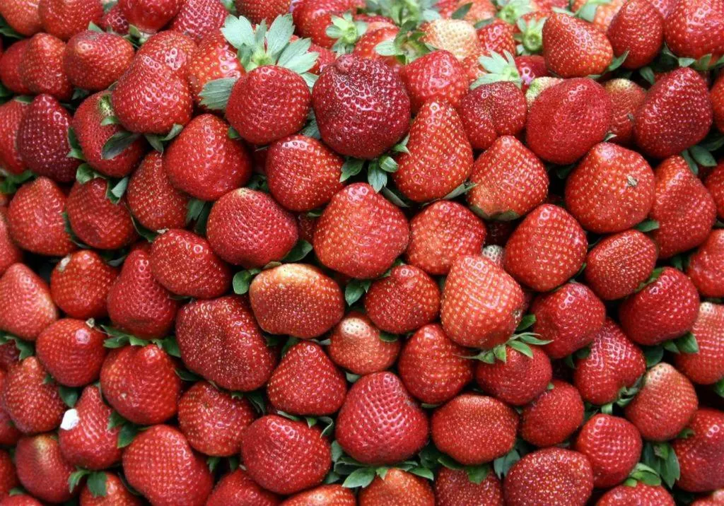 NYC Manhattan Suites