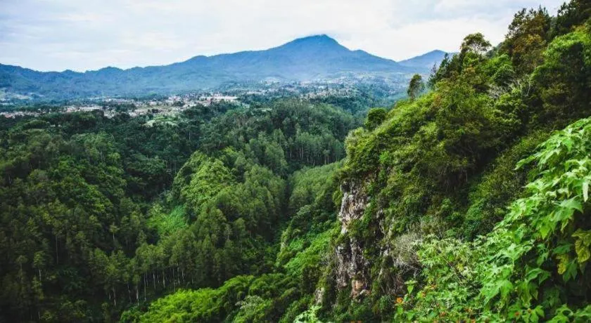 The Silk at Dago Boutique Hotel