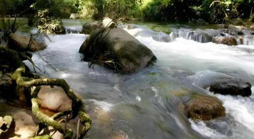 The Forest Home Resort