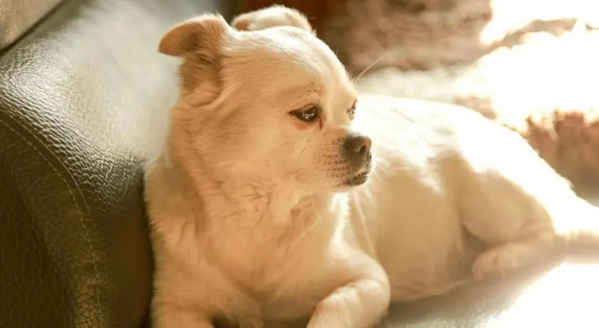 The North International Youth Hostel