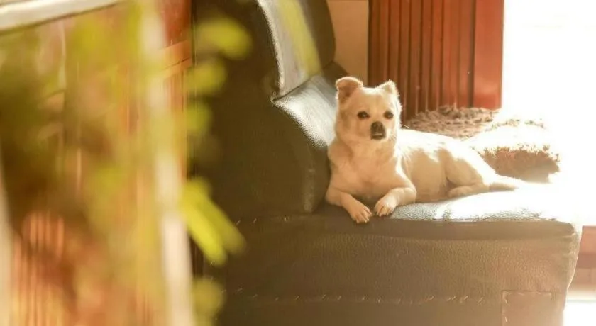 The North International Youth Hostel