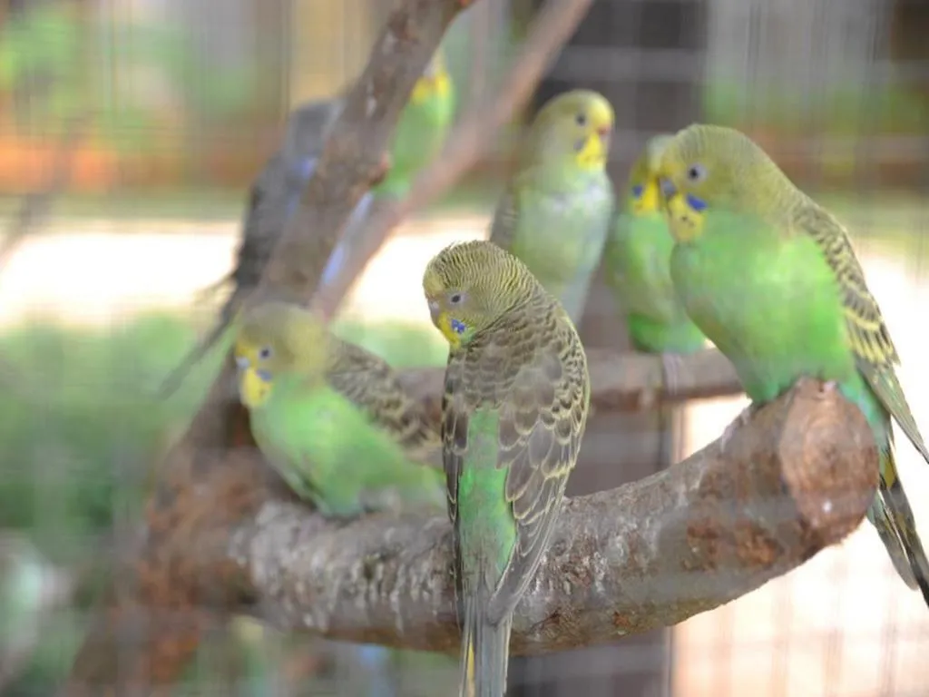 Eadry Royal Garden Hotel Haikou
