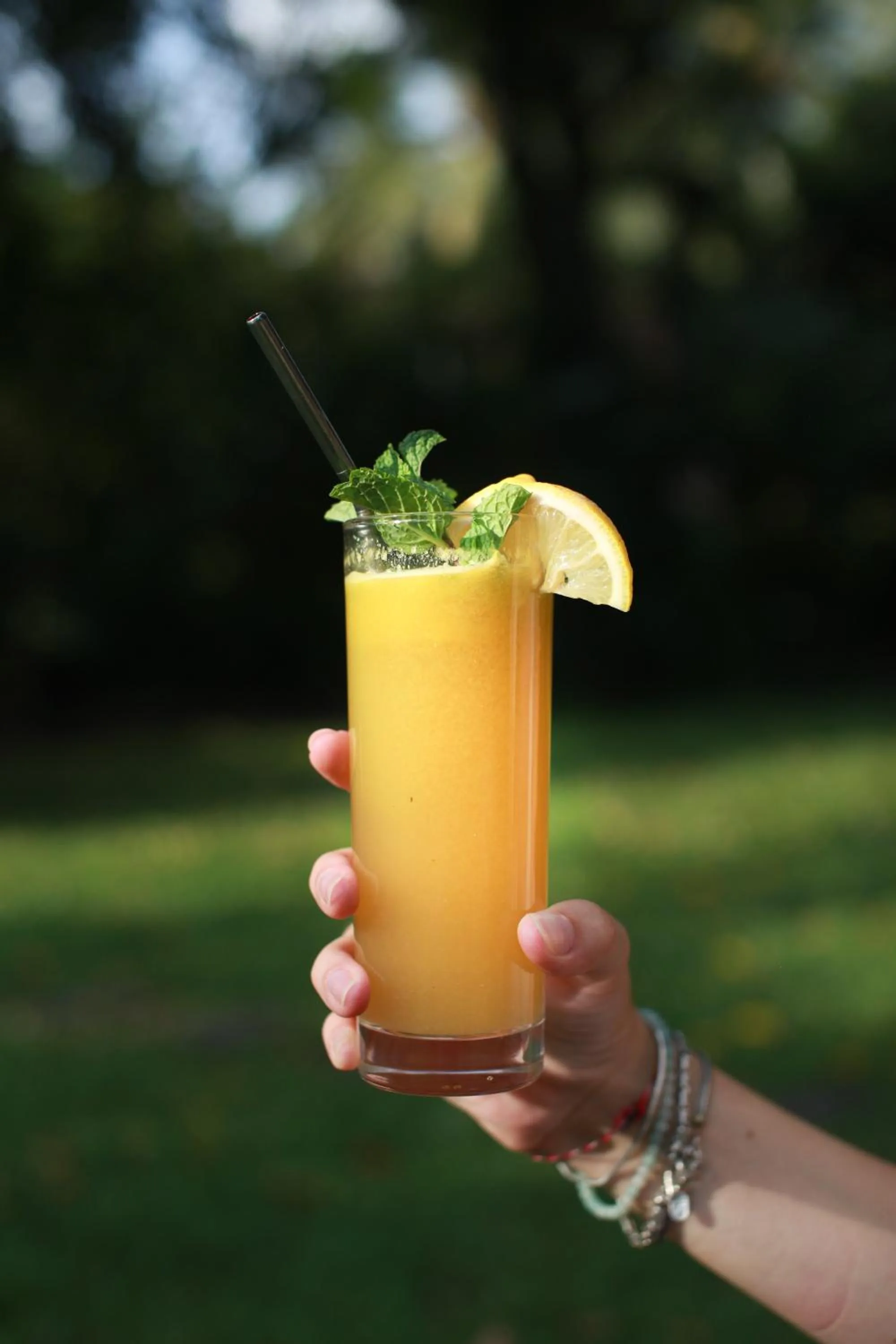 Drinks in Darmada Eco Resort