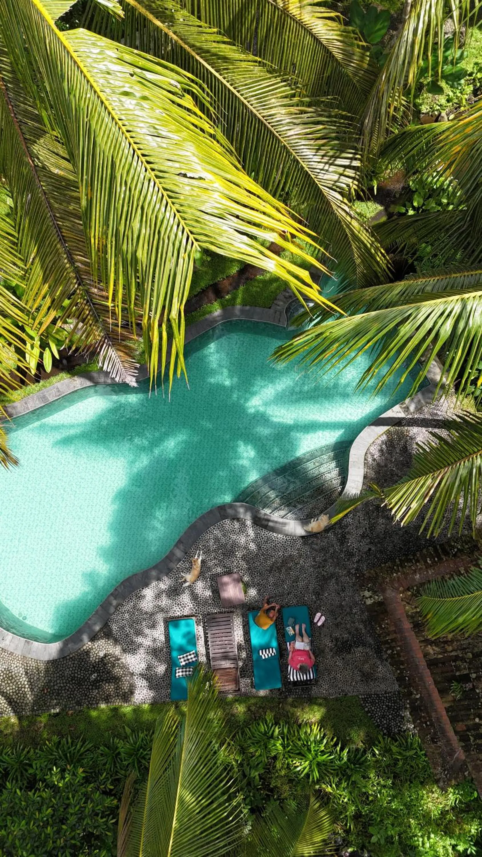 Swimming pool in Darmada Eco Resort