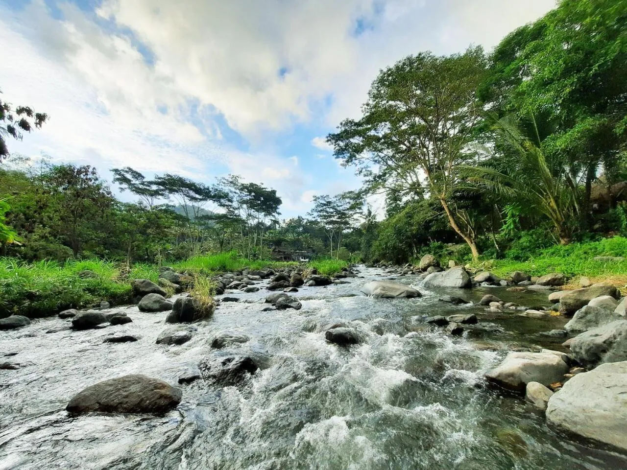 Spring in Darmada Eco Resort