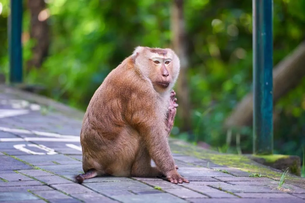 B2 Phuket Boutique & Budget Hotel