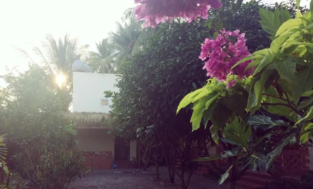 Draco - Thang Long Hotel