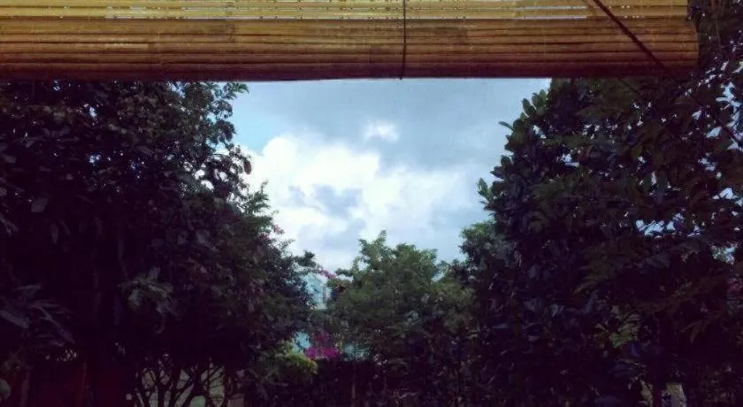 Draco - Thang Long Hotel