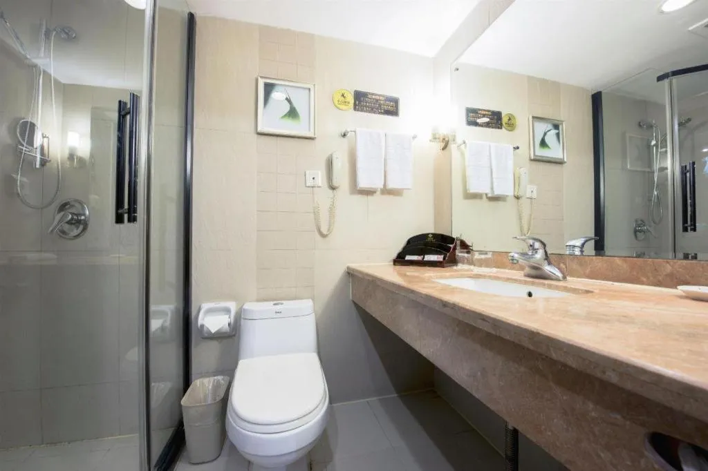 Chongqing Tianyou Hotel