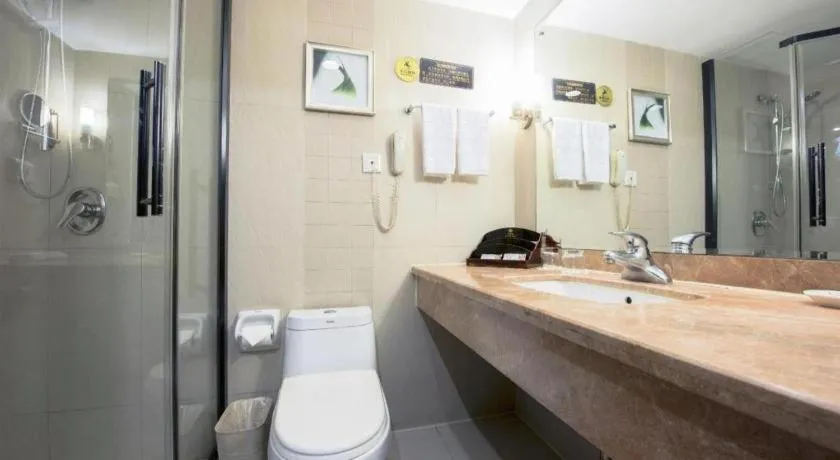 Chongqing Tianyou Hotel