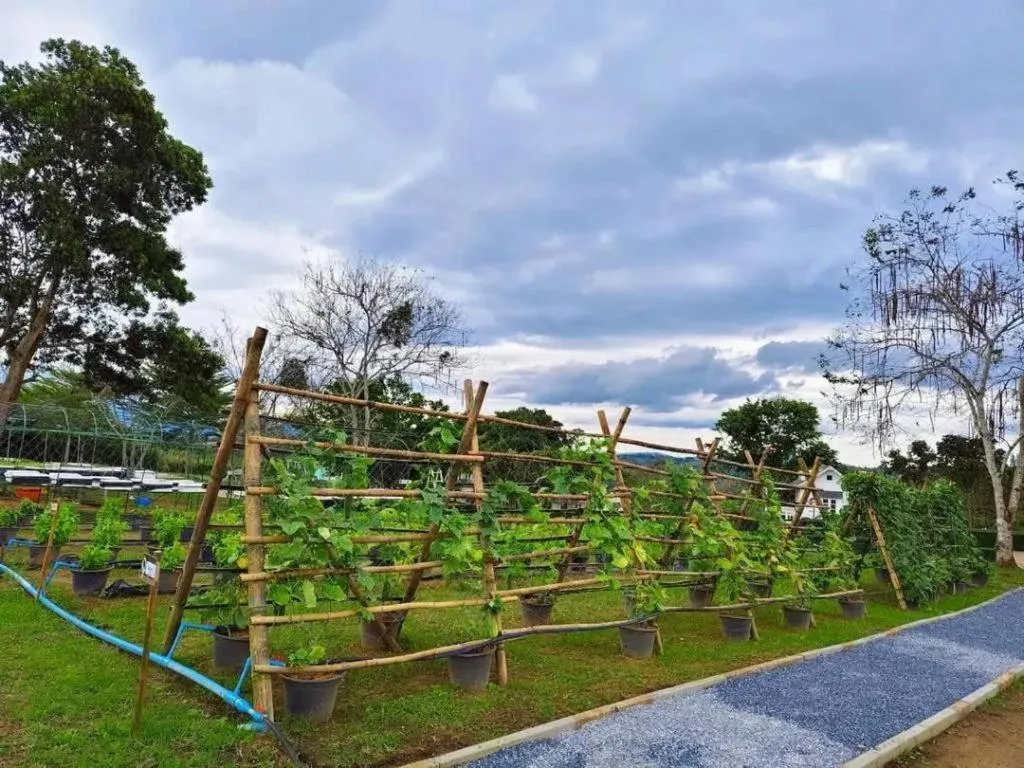 Montana Cotswolds Resort