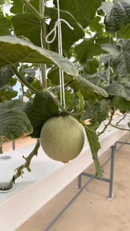 Montana Cotswolds Resort