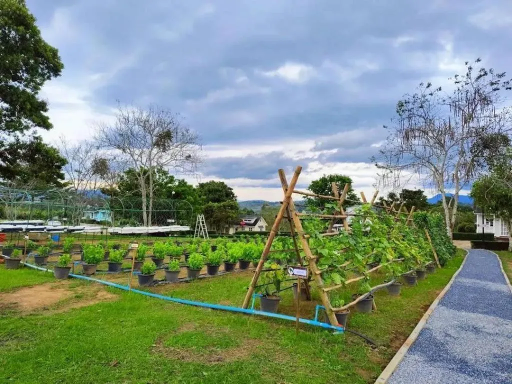 Montana Cotswolds Resort