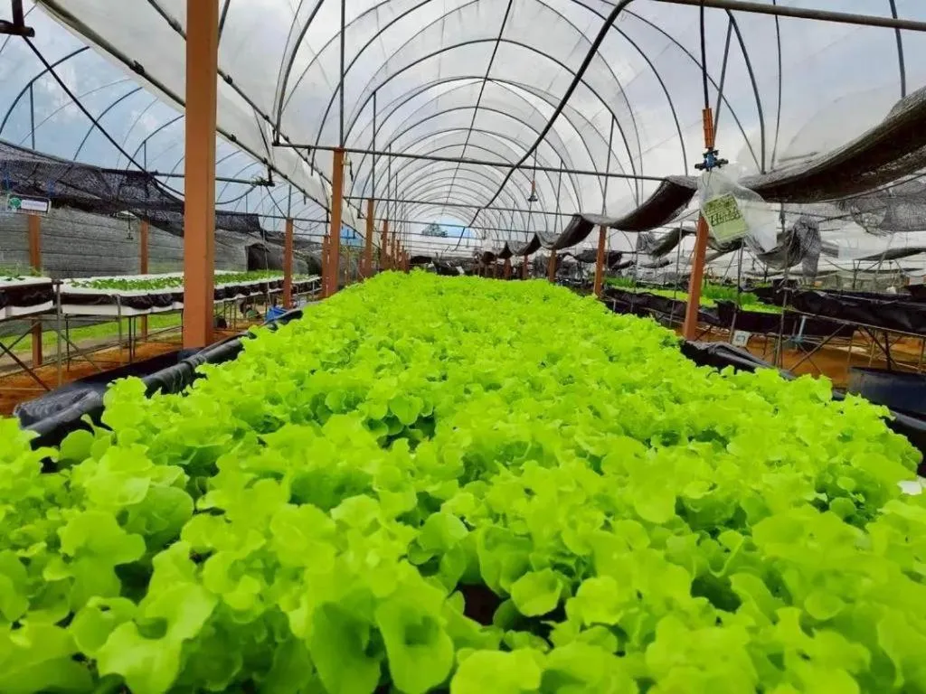 Montana Cotswolds Resort