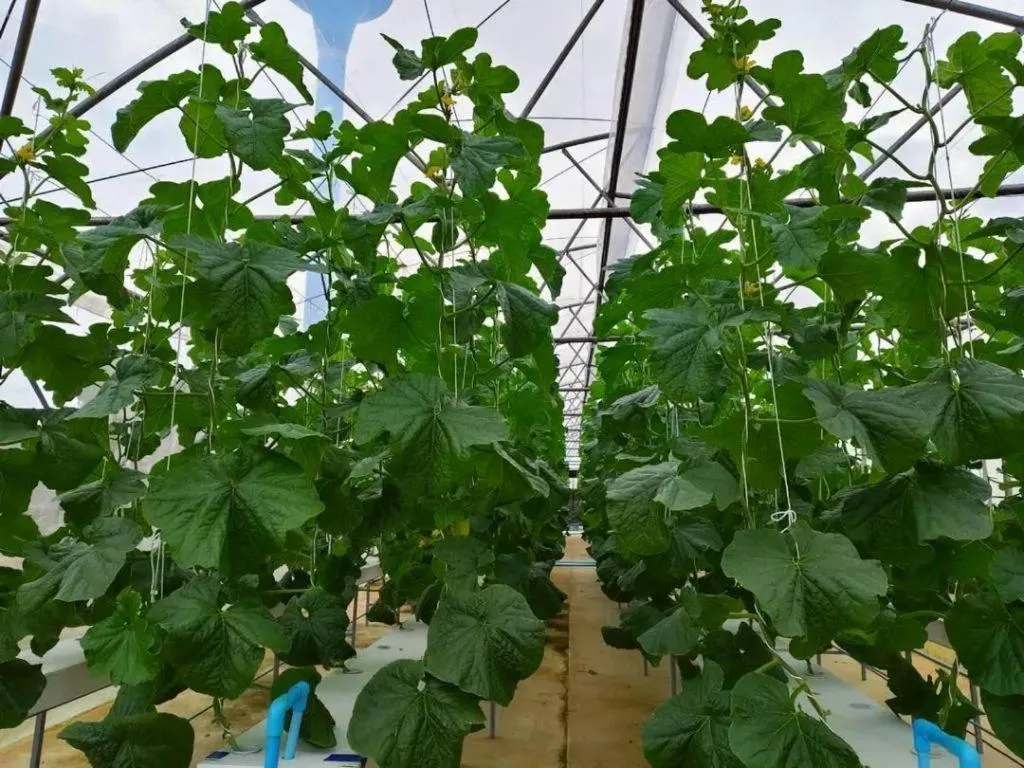 Montana Cotswolds Resort