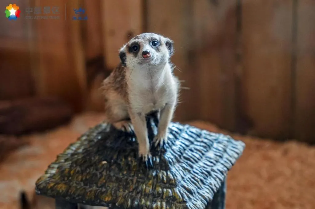 Ocean Spring Metropark Hotel Zhuhai