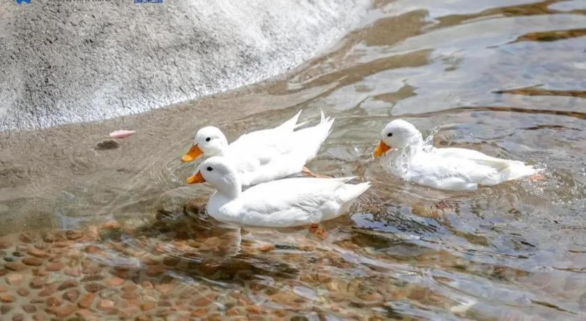 Ocean Spring Metropark Hotel Zhuhai