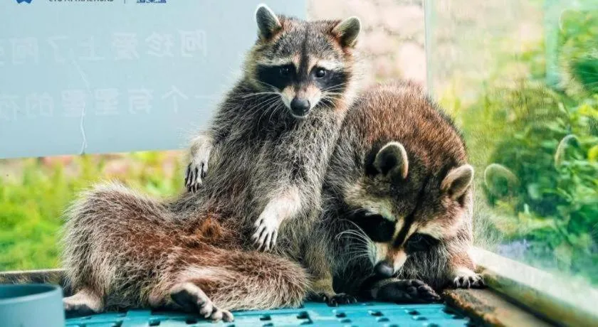 Ocean Spring Metropark Hotel Zhuhai