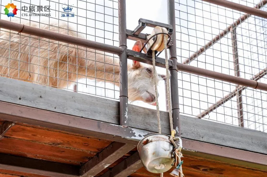 Ocean Spring Metropark Hotel Zhuhai