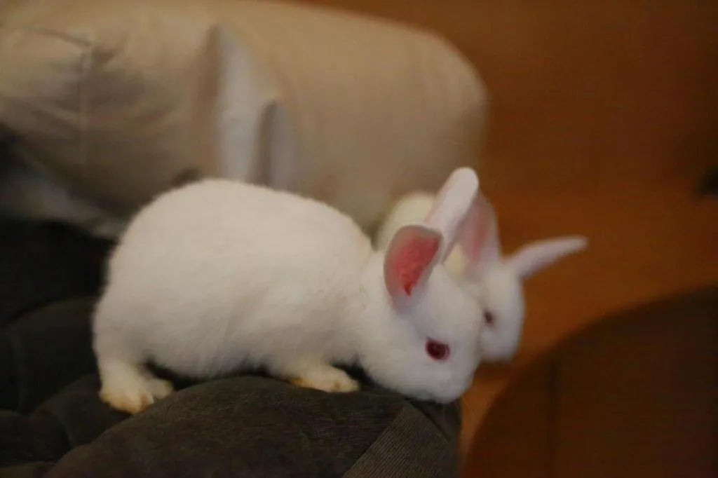 Ocean Spring Metropark Hotel Zhuhai