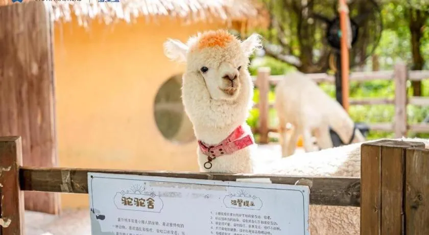 Ocean Spring Metropark Hotel Zhuhai