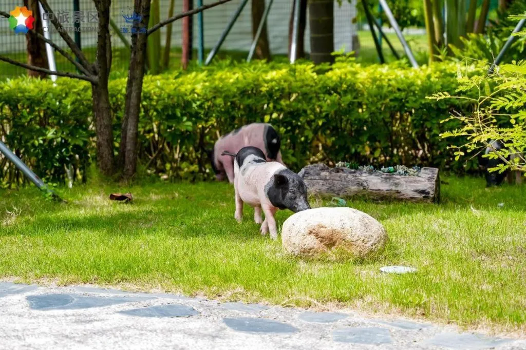 Ocean Spring Metropark Hotel Zhuhai