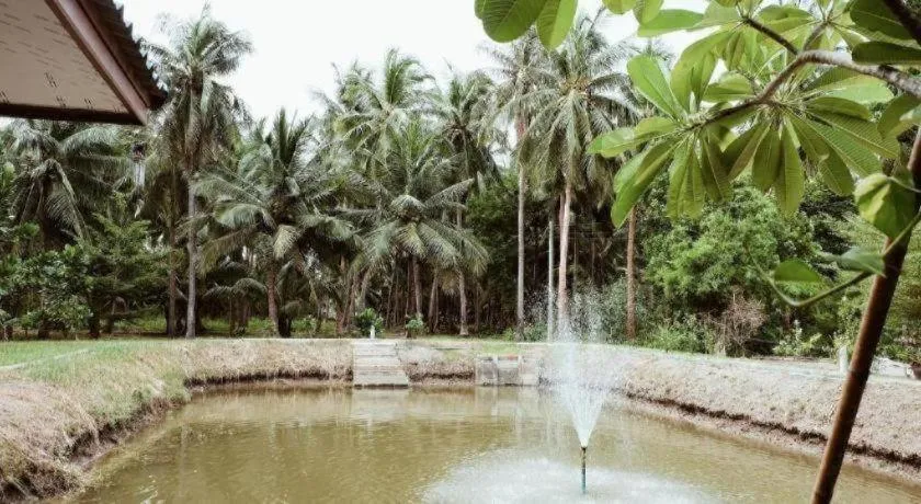 RuenNamyen Resort Amphawa