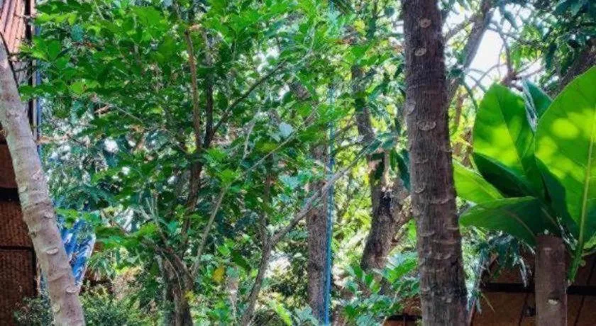 RuenNamyen Resort Amphawa