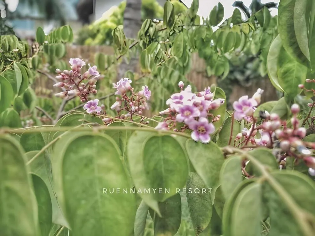 RuenNamyen Resort Amphawa