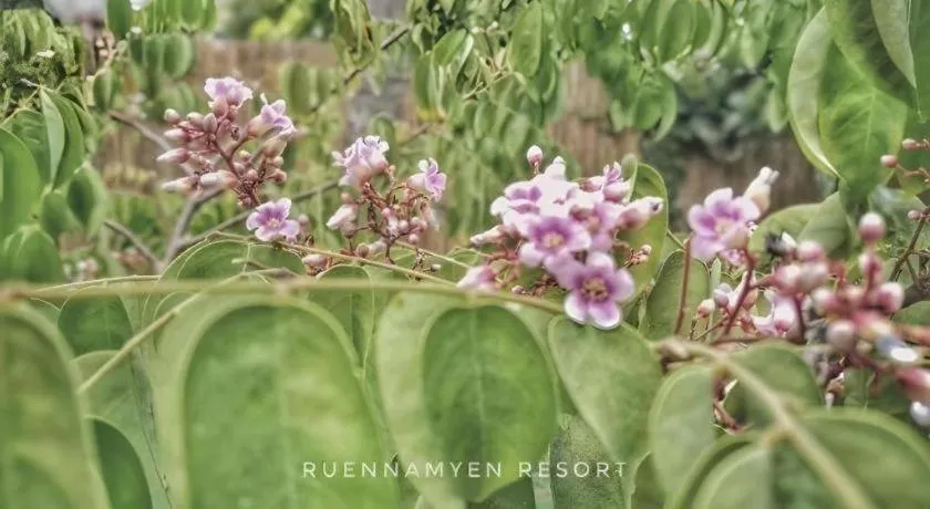 RuenNamyen Resort Amphawa