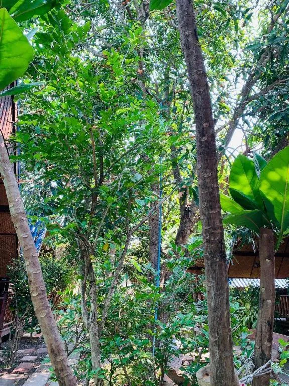 RuenNamyen Resort Amphawa