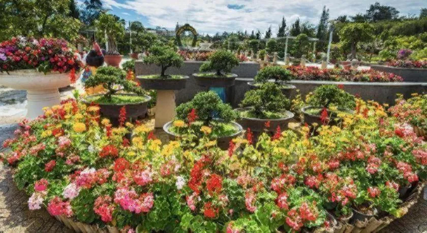 Dalat Flower Hotel & Spa