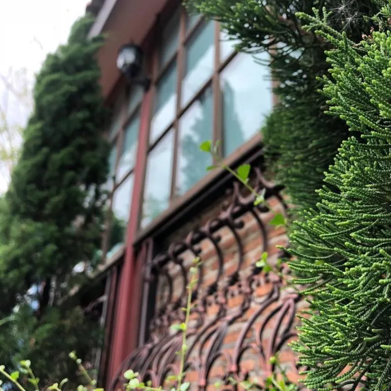 The Color Resort Amphawa