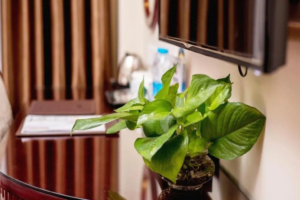 GreenTree Inn Guangzhou Baiyun International Airport Huaxi Road Express Hotel