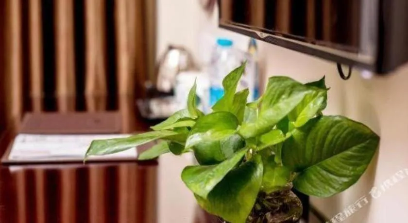 GreenTree Inn Guangzhou Baiyun International Airport Huaxi Road Express Hotel