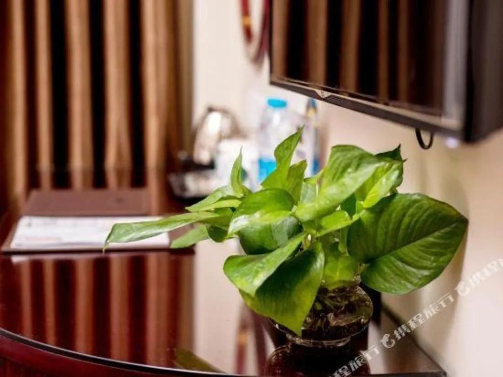 GreenTree Inn Guangzhou Baiyun International Airport Huaxi Road Express Hotel